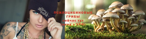 ALPHA PVP Алексин